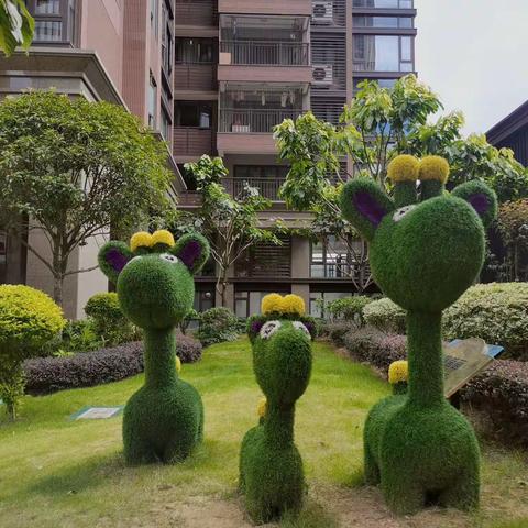正升星荟2024年2月月报