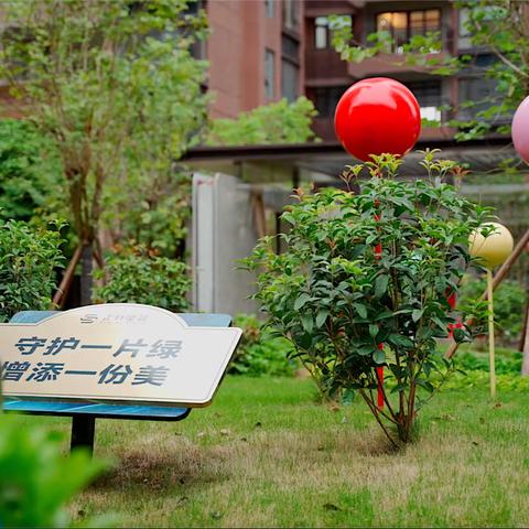 乐昌正升星荟2024年4月月报