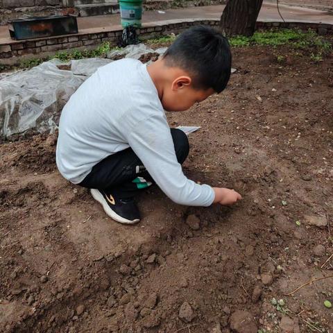 五一劳动节快乐！宁武县实验小学二年级八班温加泉