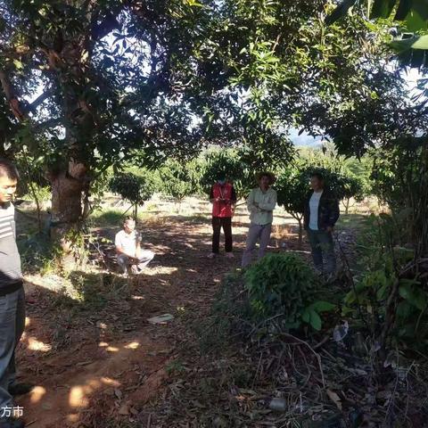网格员协助调解土地界限纠纷