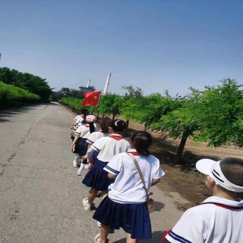 [中国式现代化建设河北篇章红领巾研学实践活动]种植科技，育苗新方法