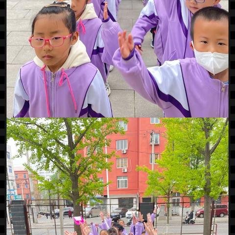 🍀播种成长，静待花开--福伦小学一年二班种植活动