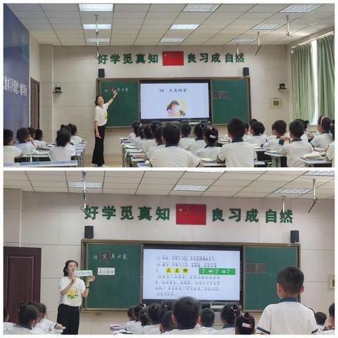 聚力新课标 赋能新课堂