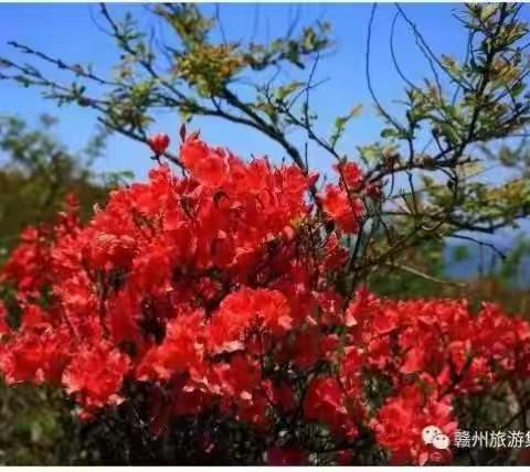 10月去哪里“我和草原高山有个约定“与草原同乐与月亮共眠”星空、草地、音乐大Pk（副本）