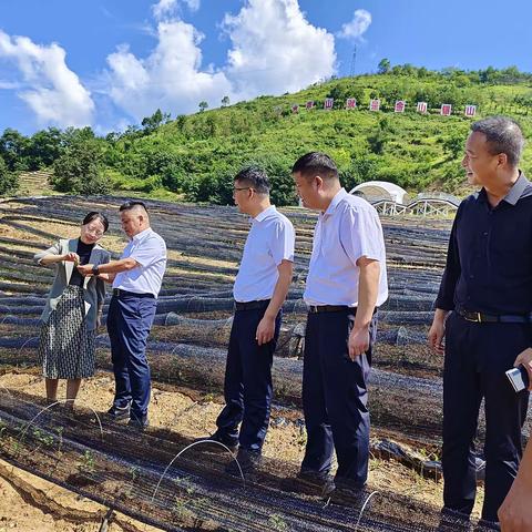 商洛市委常委、统战部部长权雅宁在山阳调研民营企业发展情况