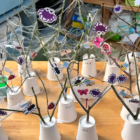 锦林幼儿园大班组十一月活动 ‍ 《蜘蛛🕷️织网》