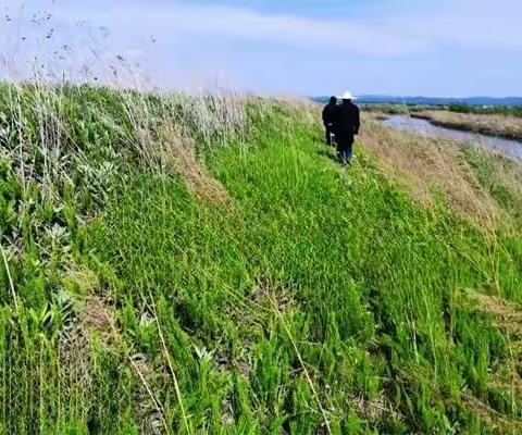 大兴农场湿地管理站环境卫生整治