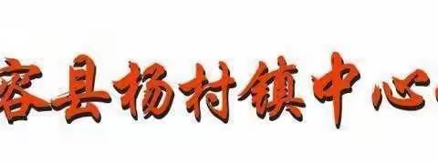 “党旗引领”杨村镇2023年春季期小学美术学科课堂教学比赛