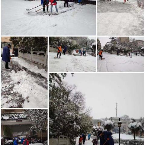 清除积雪保出行  志愿服务暖人心