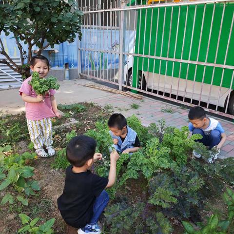 士官学校幼儿园庆六一系列活动