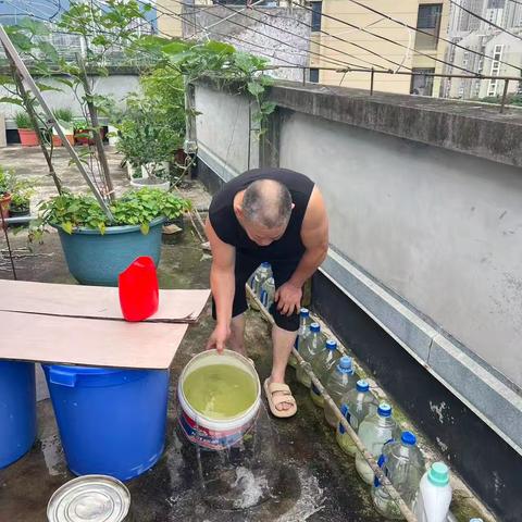 溪口社区开展“护河爱水 清洁家园”志愿服务活动
