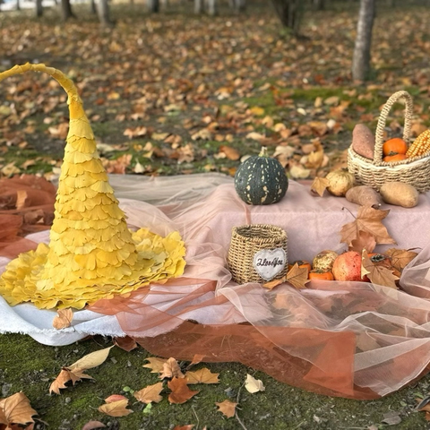 秋韵正浓时 悄然迎立冬——艾迪贝尔幼儿园立冬节气主题活动