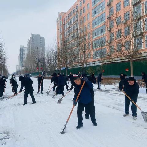 新春瑞雪降，清雪保畅通