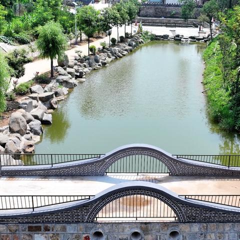 金秋趣，“桥”这边——普集街道桥子村第十六届“戏曲文化节”暨第三届猕猴桃采摘节即将盛大开幕