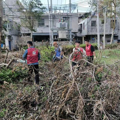 美兰区司法局海甸司法所组织社区矫正对象助力“摩羯”灾后恢复重建，用实际行动回馈社会