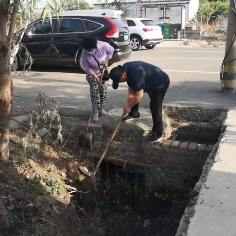 5月17日通济新区创城工作进展情况