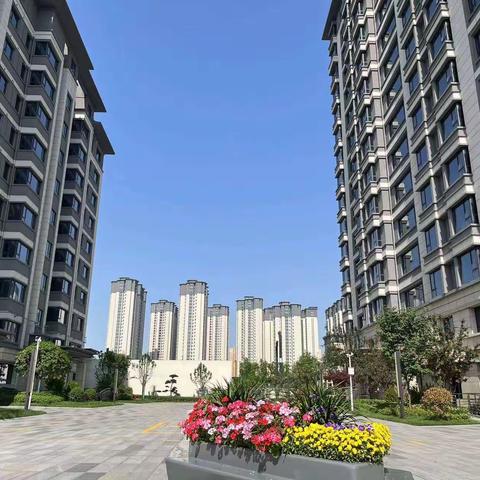翠景台二期2023年5月5日-5月12日周工作总结