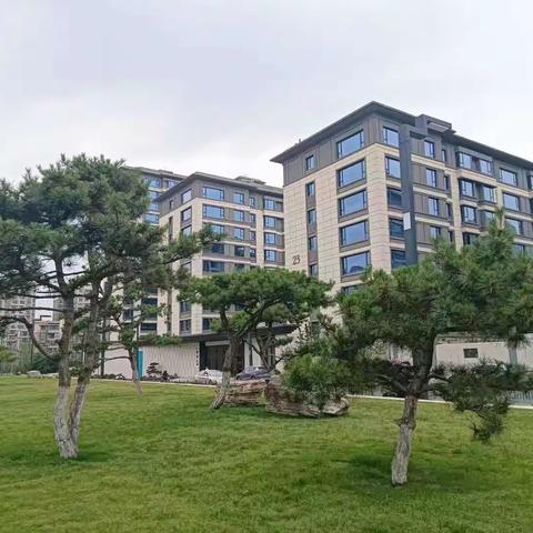 翠景台二期2023年5月26日-6月2日周工作总结