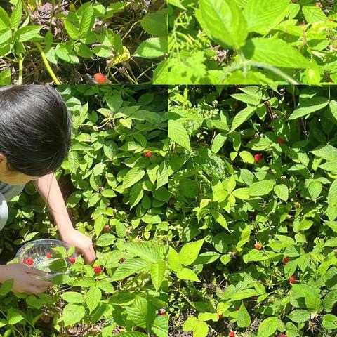 我劳动，我快乐，我成长！——附中八年级二班