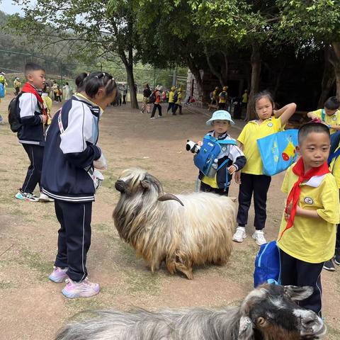 【华夏研学】—走进动物王国 开启童话世界一一记綦江区文龙小学2年级5班2023春季研学实践活动