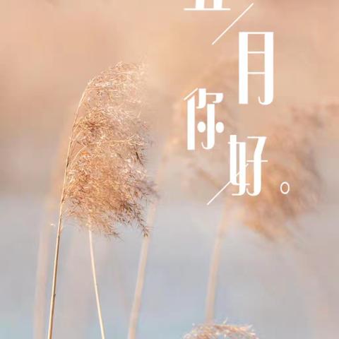阳光幼儿园中班五月份成长记录