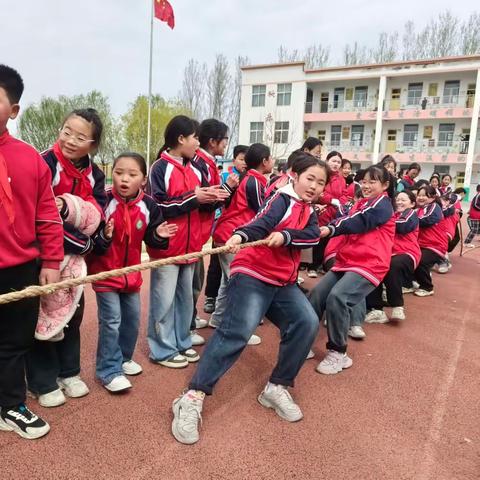 齐心协力 “绳”采飞扬         ——韩集镇前姜中心小学开展拔河比赛活动