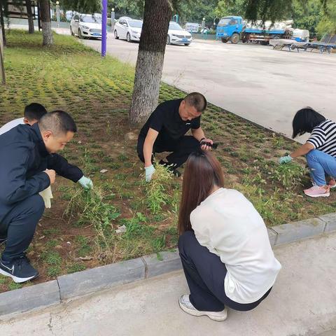 孝义街道小沟村人居环境整治活动