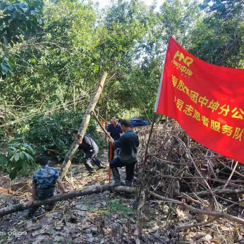 海胶集团中坤分公司持续开展“橡胶生产自救、重建家园” ﻿大会战