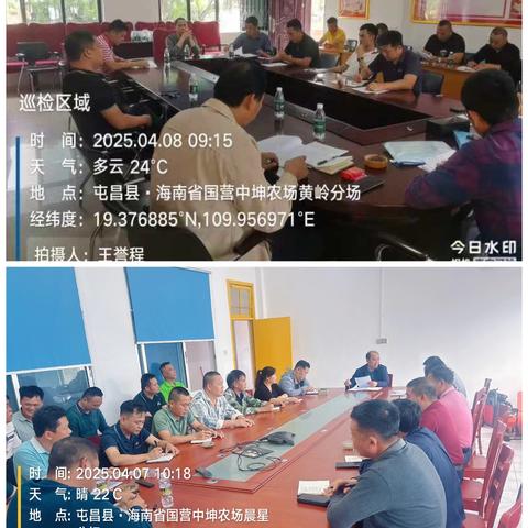 海胶集团中坤分公司开展2025年橡胶生产的各项工作