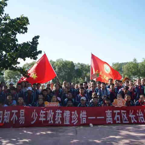 【躬耕秋田知不易 少年收获懂珍惜】——长治路小学六年级秋收实践活动全景记录