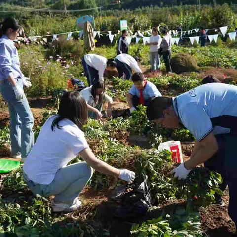【躬耕秋田知不易 少年收获懂珍惜】——长治路小学丰收节活动