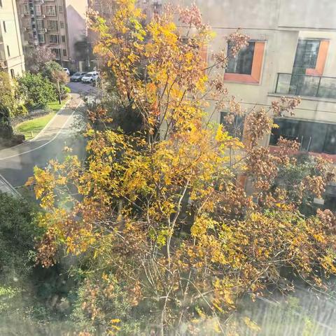 岁末书笺：在琐碎与辽阔之间