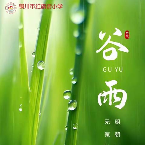 【红小•课程】谷雨：雨生百谷，万物皆可期