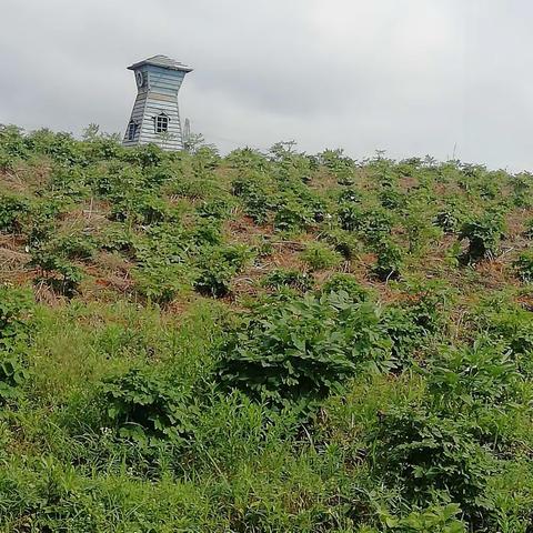 花约四季  研学旅行