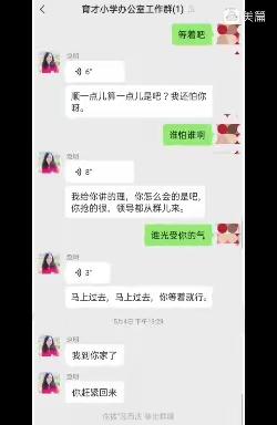 河北省邢台市清河县育才小学教务处主任 赵明，在工作群中侮辱谩骂本校老师