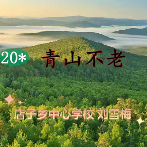 店子乡中心学校明智课堂优秀课例第七期（2025年11月19日）