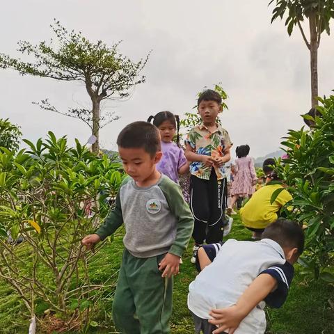 【小一班】植树节🌱特辑