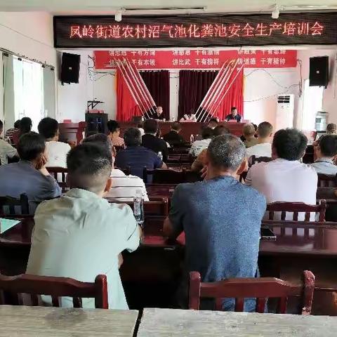 凤岭街道开展中秋节、国庆节“两节”农业安全检查，筑牢农业安全生产防线