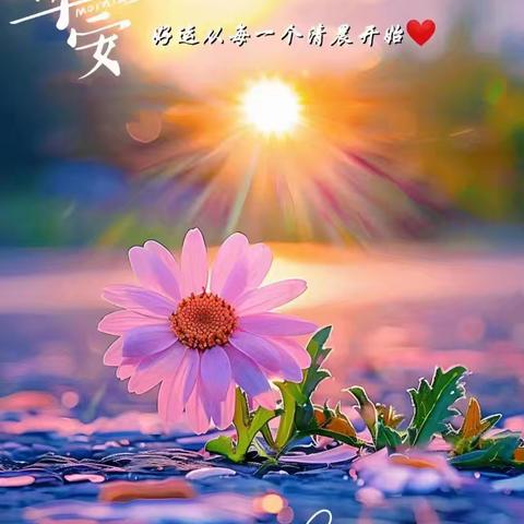 一路同行，共同成长——2024——2025学年一（3）班班级工作总结