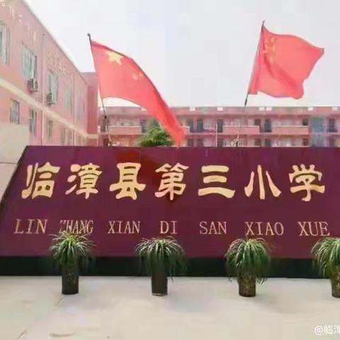 笔尖有光，笔下生花｜临漳县第三小学教育集团习作指导课