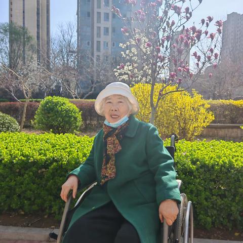 春风寄哀思，陪伴暖人心