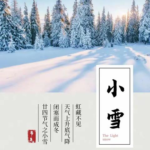 【课题】"小雪到   冬始俏"碧水家园幼儿园二十四节气系列活动(小雪篇)