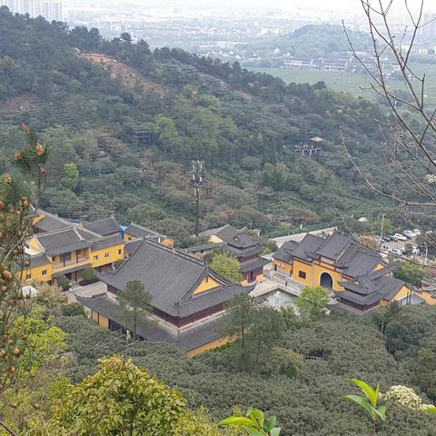 苏州树山村