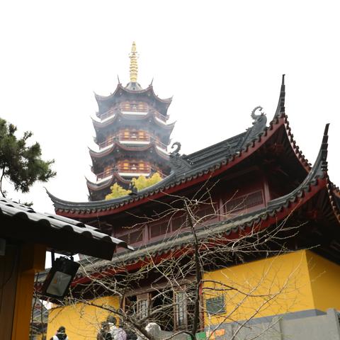 醉美江南   之  (南京鸡鸣寺、玄武湖）