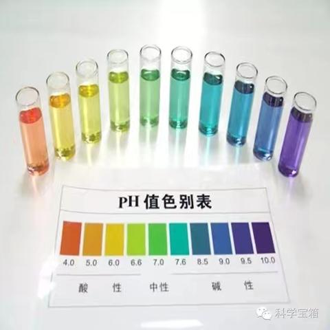 科学名称：变色花