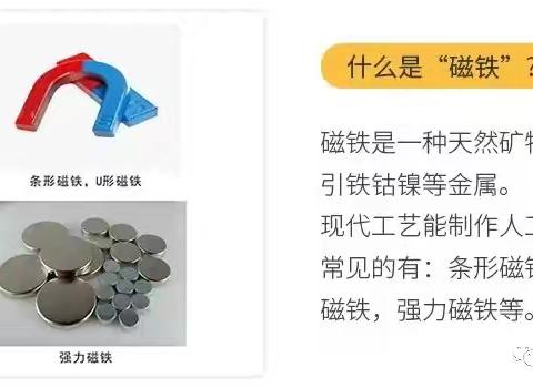 科学名称：青蛙，跳跃吧