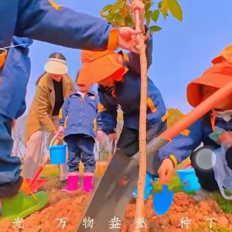 “植”此青绿 “树”立希望