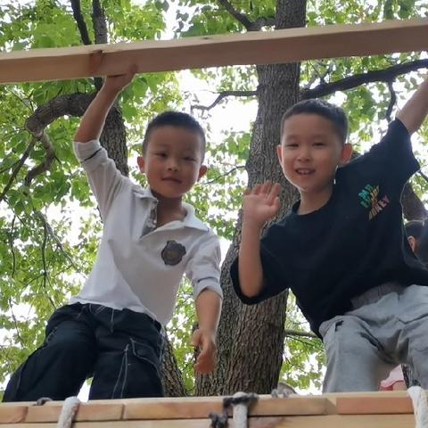 幼儿园里的树屋