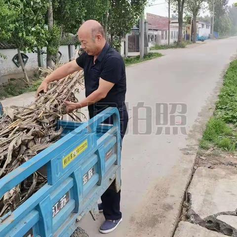 持续开展洺河河道及周边环境卫生清理工作