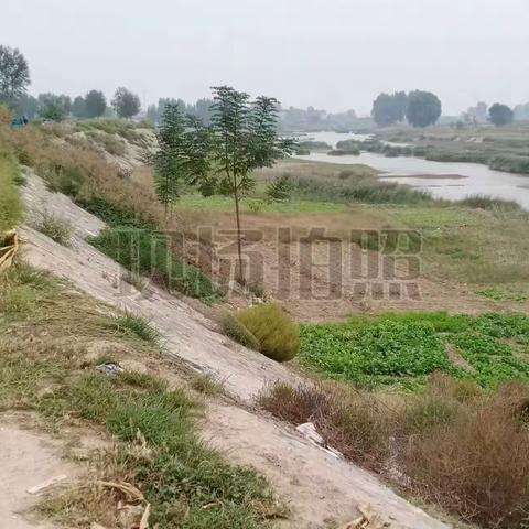 曲陌乡假期正常开展巡河工作